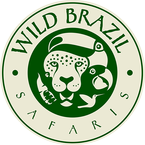 wild brazil tours